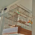 Floor 1 *