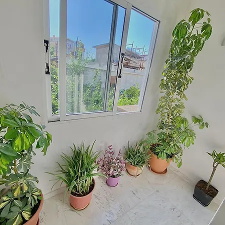 Floor 1 * Vlorë