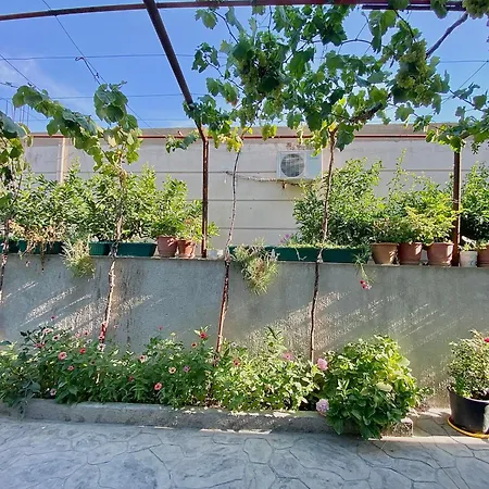 Floor 1 Апартаменты Влёра