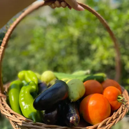 Апартаменты Floor 1 *