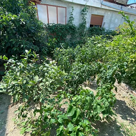 Floor 1 Апартаменты