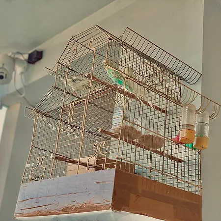 Floor 1 *