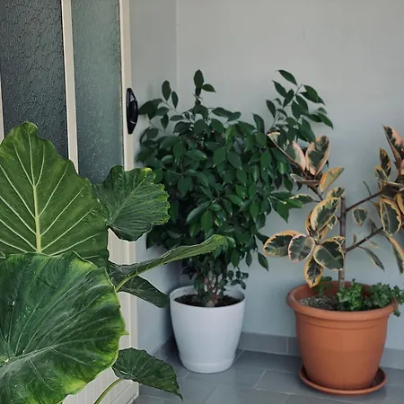 Apartament Floor 1 *