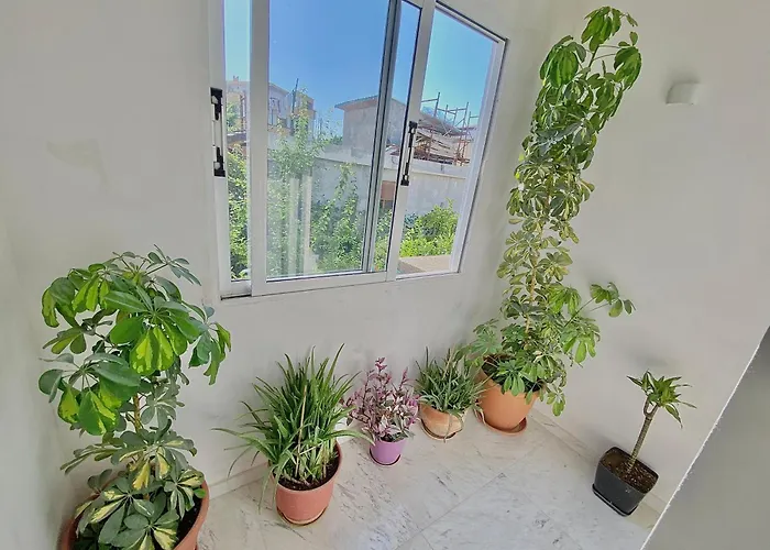 Floor 1 * Vlorë