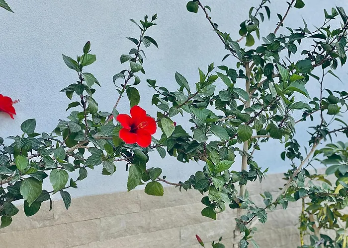 Floor 1 Vlorë