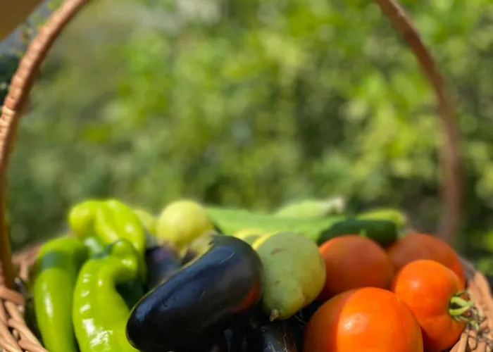 Apartamento Floor 1 *